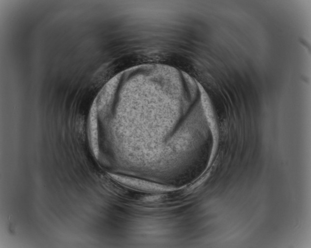 X0000091730178200709211027