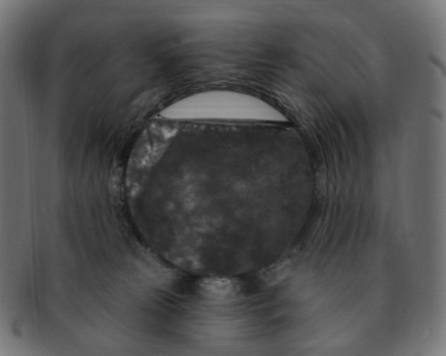 X0000091730181200709211027