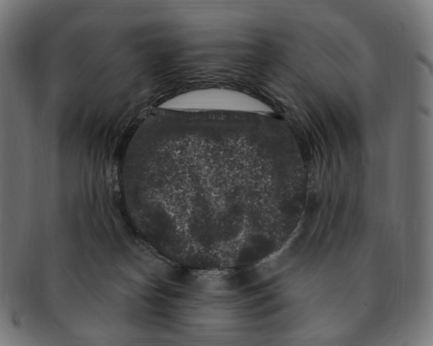 X0000091730182200709211027