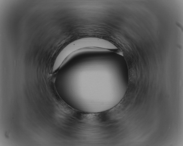 X0000091730184200709211027