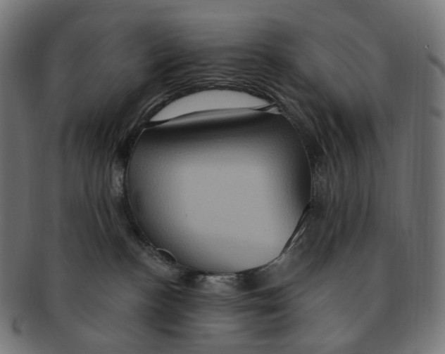 X0000091730188200709211027