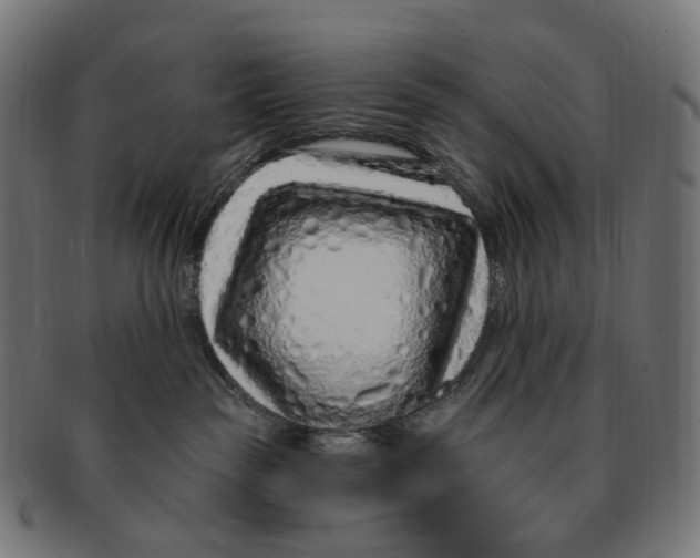 X0000091730189200709211027