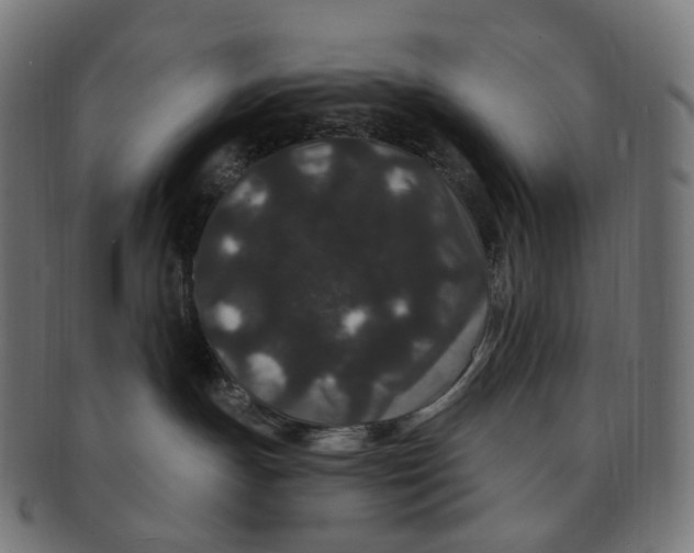 X0000091730191200709211027