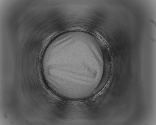 X0000091730193200709211027