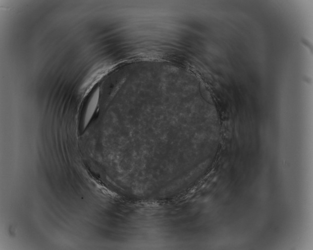 X0000091730194200709211027