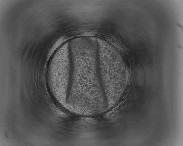 X0000091730195200709211027