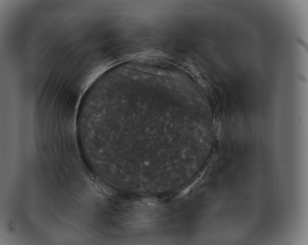 X0000091730196200709211026