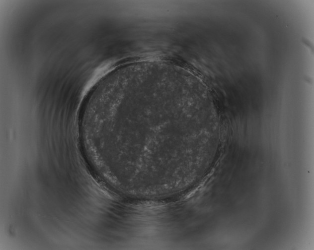 X0000091730198200709211026