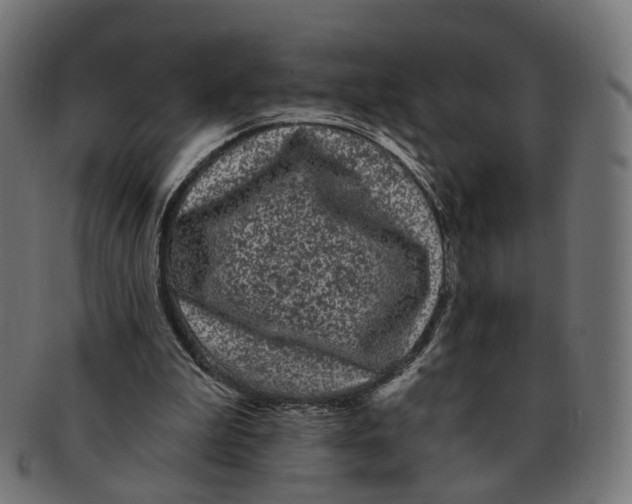 X0000091730199200709211026