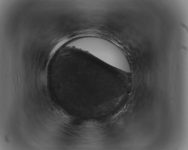 X0000091730200200709211026