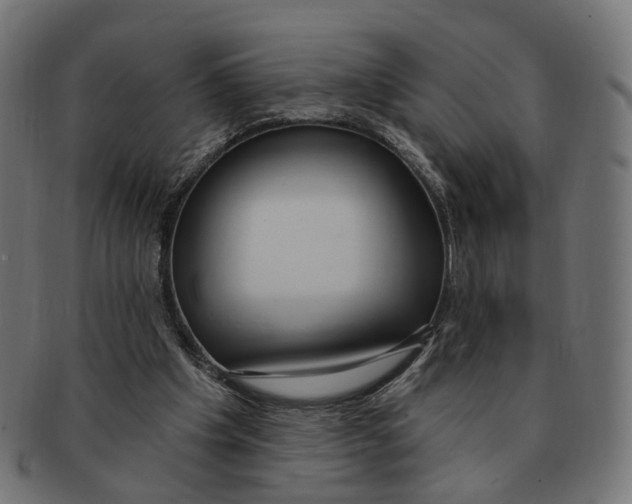 X0000091730201200709211026