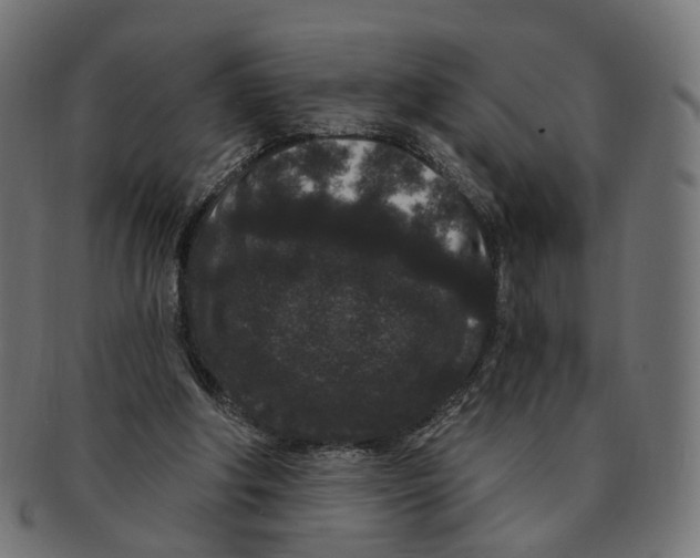 X0000091730202200709211026