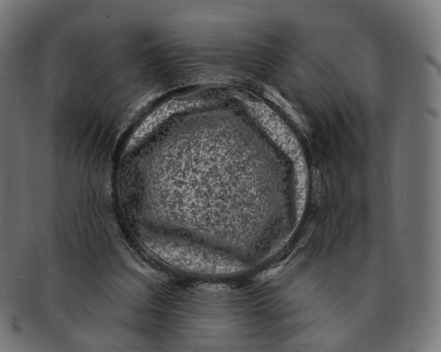 X0000091730203200709211026