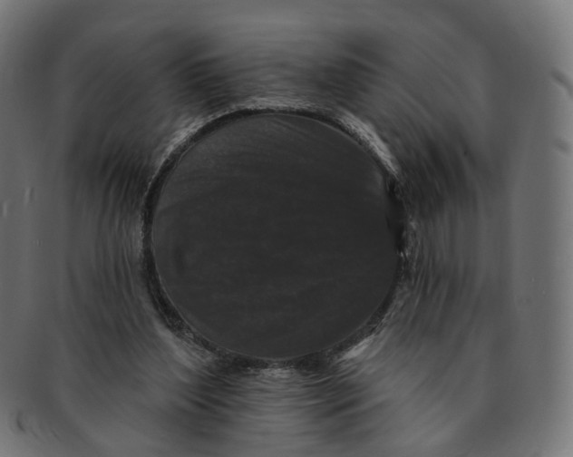 X0000091730204200709211026