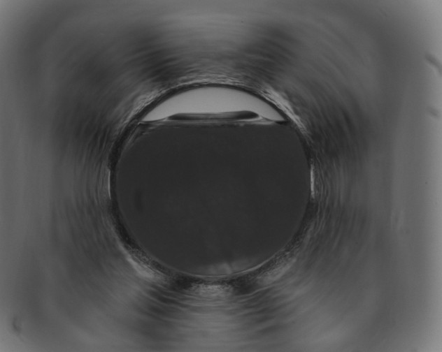 X0000091730205200709211026