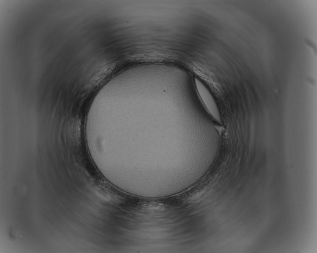 X0000091730206200709211026