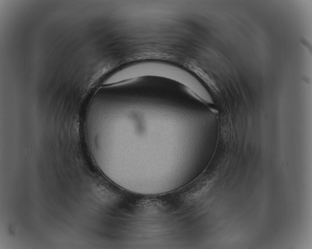 X0000091730207200709211026