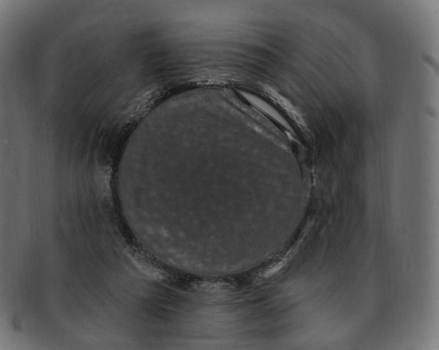 X0000091730209200709211026