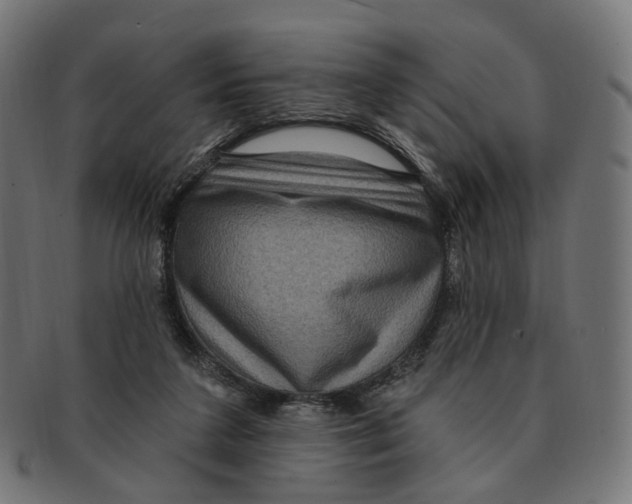 X0000091730211200709211026