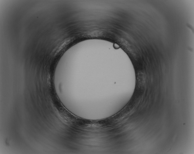 X0000091730212200709211026