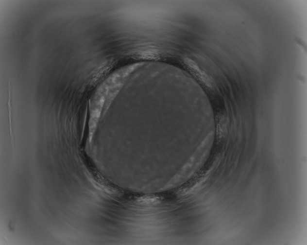 X0000091730213200709211026