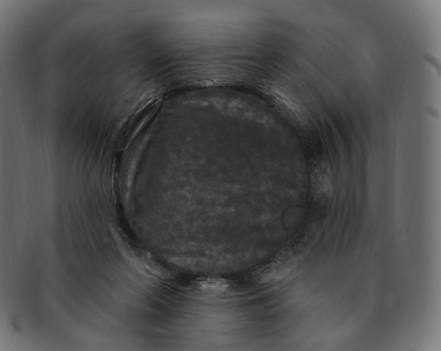 X0000091730214200709211026