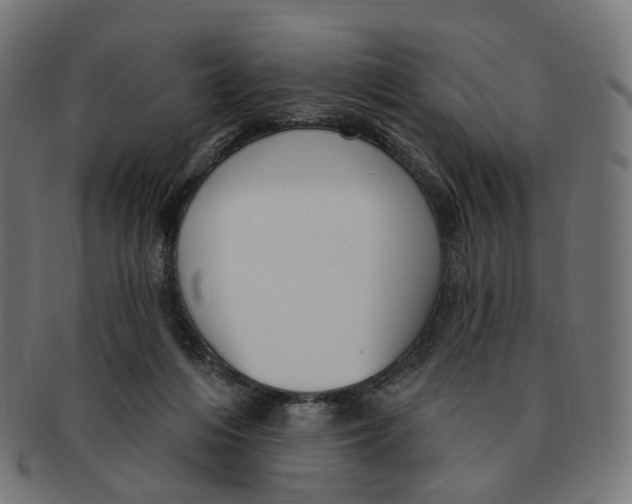 X0000091730216200709211026