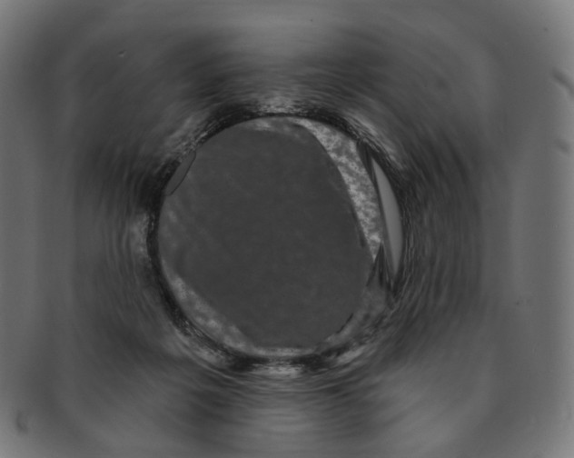 X0000091730217200709211026