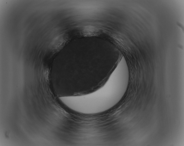 X0000091730219200709211026