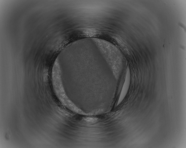 X0000091730221200709211026