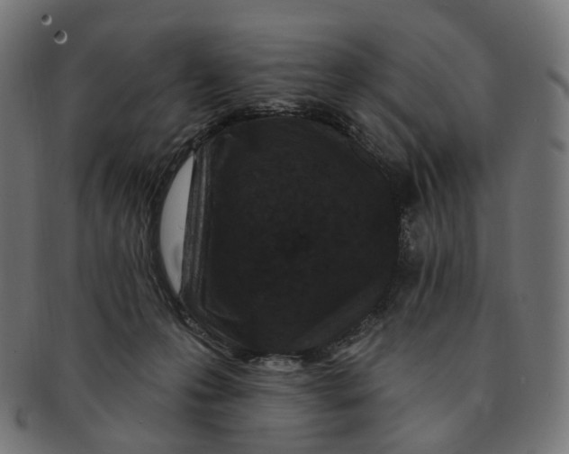 X0000091730223200709211026