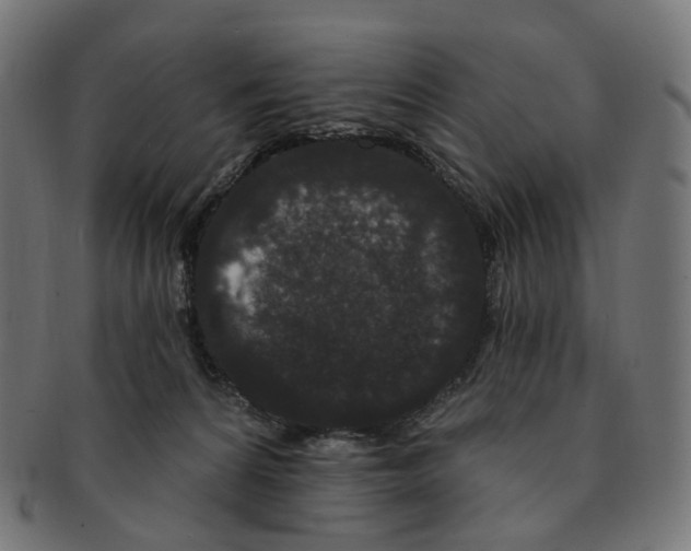 X0000091730224200709211026