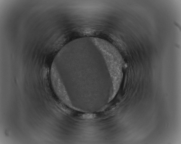 X0000091730225200709211026