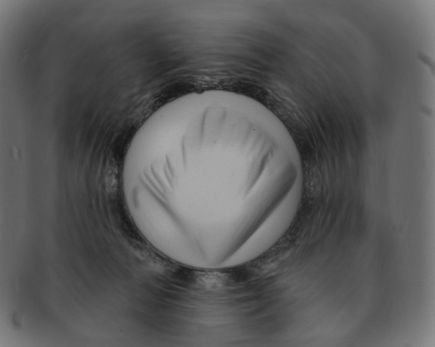 X0000091730226200709211026