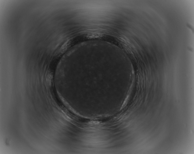 X0000091730227200709211026