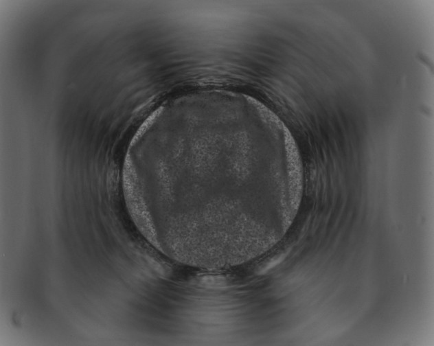 X0000091730228200709211026