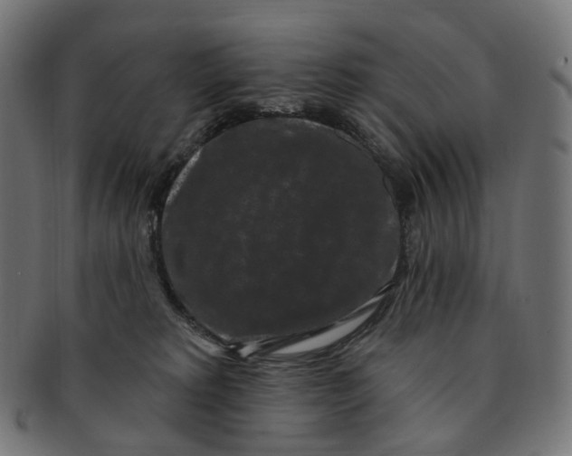 X0000091730229200709211026