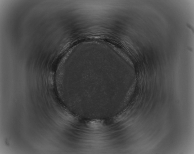 X0000091730232200709211026