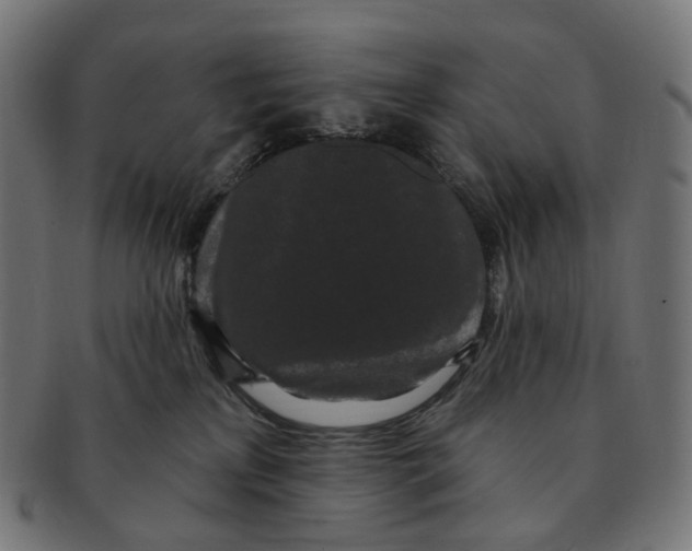 X0000091730233200709211026