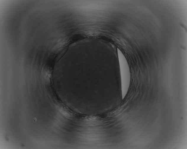 X0000091730235200709211026