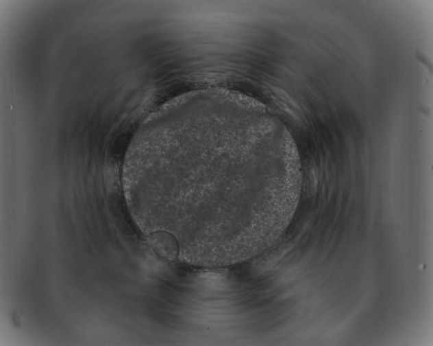 X0000091730236200709211026