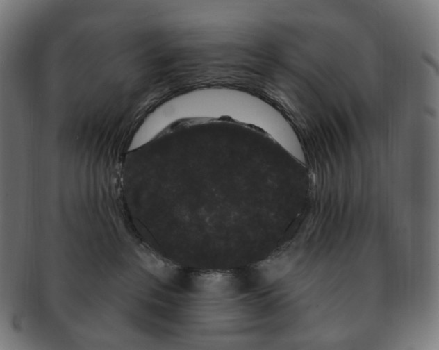 X0000091730237200709211026