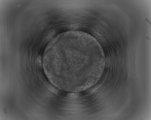 X0000091730238200709211026