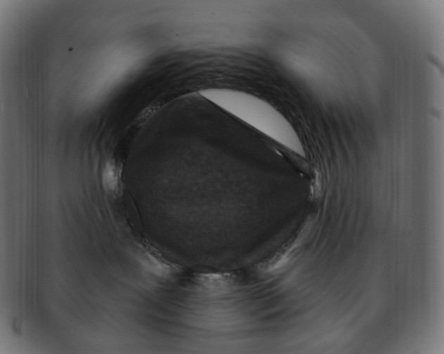 X0000091730239200709211026