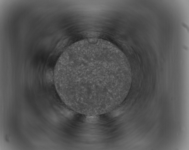 X0000091730240200709211026