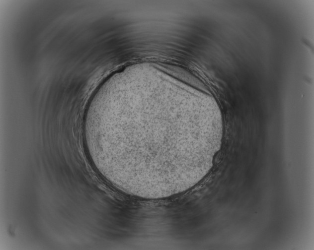 X0000091730241200709211025