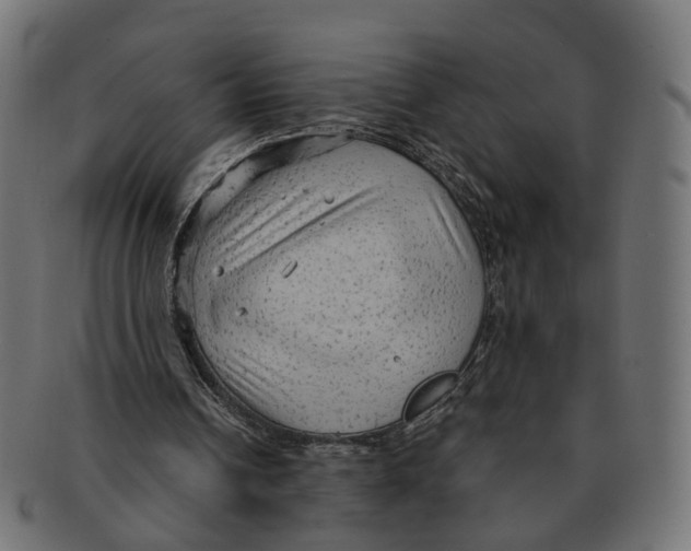 X0000091730242200709211025