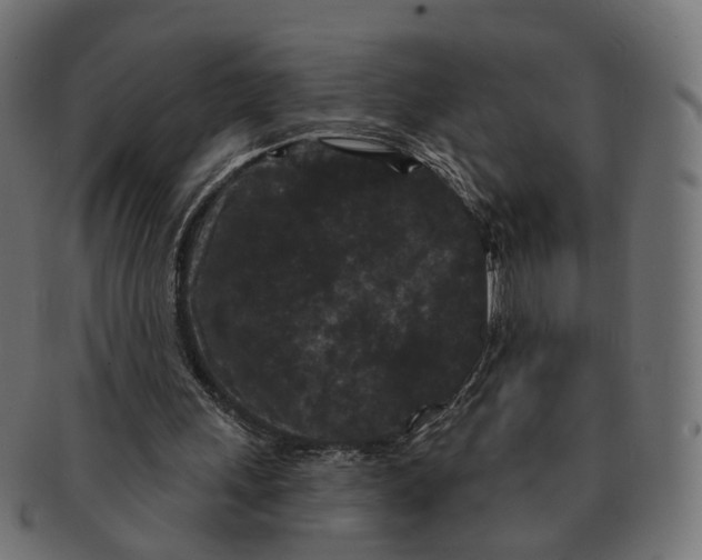 X0000091730243200709211025