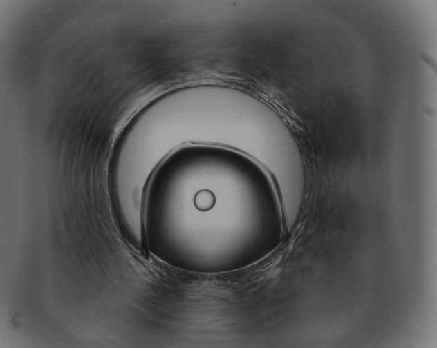 X0000091730244200709211025