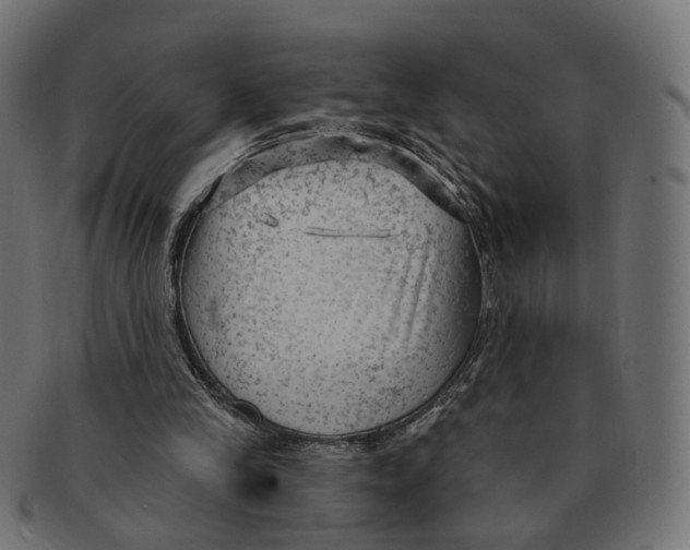 X0000091730245200709211025